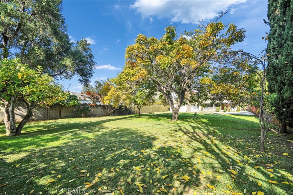 MLS #WS25271938 image #14