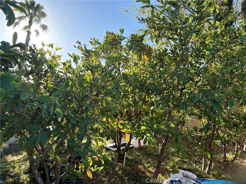 https://media.crmls.org/medias/de9e9b8d-ce9a-4c84-a379-8e0bb07e299c.jpg?preset=X-Large