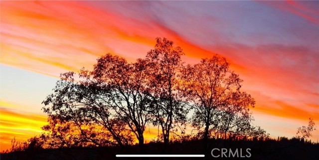 Detail Gallery Image 50 of 54 For 6132 Chowchilla Mountain, Mariposa,  CA 95338 - 3 Beds | 2 Baths