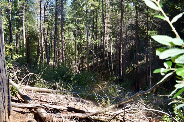 Detail Gallery Image 41 of 52 For 0 Toyon Trl, Berry Creek,  CA 95916 - – Beds | – Baths