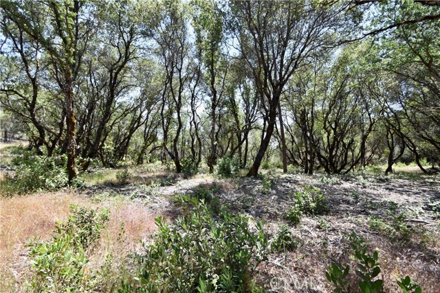 0 Mackey Court, Oroville CA: https://media.crmls.org/medias/dea8fcf0-41bf-4f7e-bba7-c865226a217c.jpg