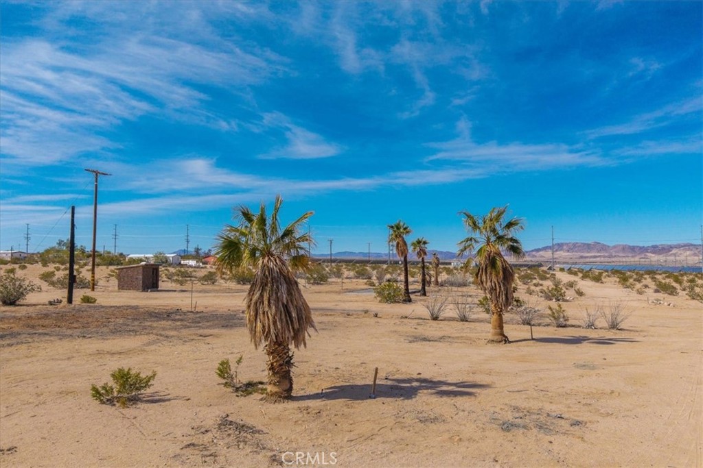 MLS #JT25029805 image #29