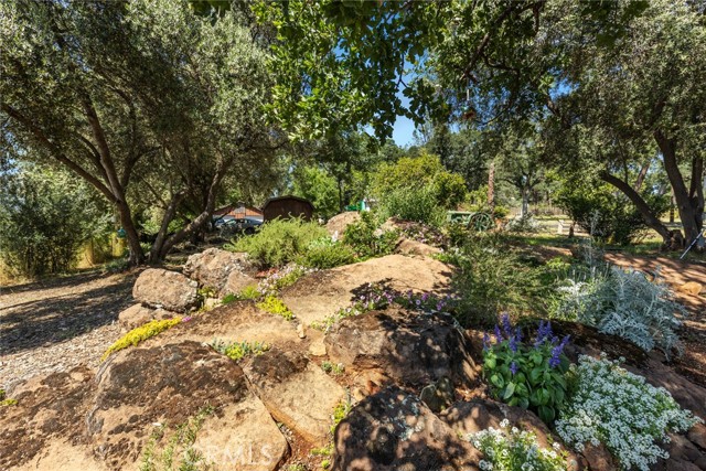 Detail Gallery Image 57 of 69 For 2831 Foothill, Oroville,  CA 95966 - 2 Beds | 1 Baths
