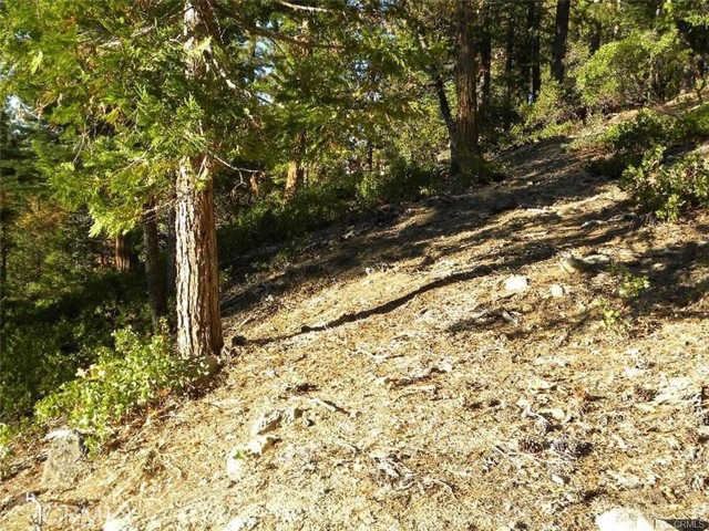 Detail Gallery Image 2 of 8 For 7486 Henness Ridge, Yosemite,  CA 95389 - – Beds | – Baths