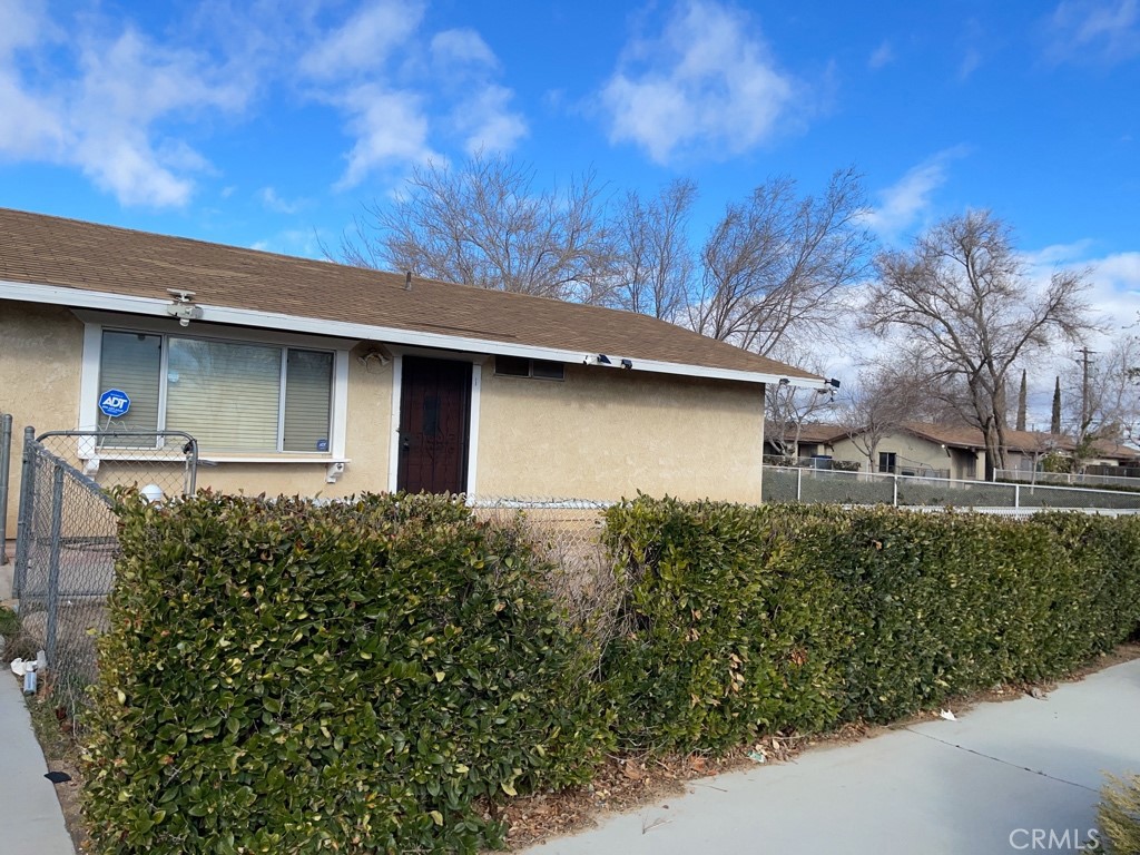 16503 Smoke Tree #1
