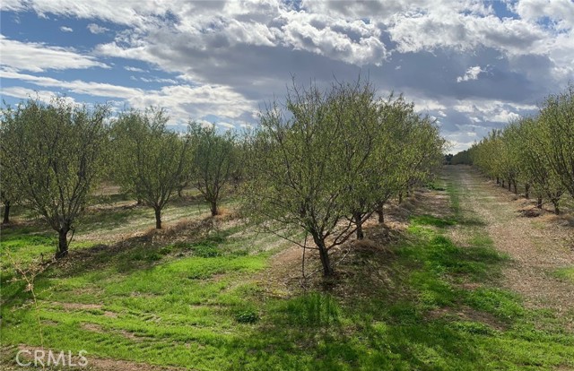 Detail Gallery Image 49 of 67 For 22085 Finnell, Corning,  CA 96021 - 4 Beds | 2/1 Baths