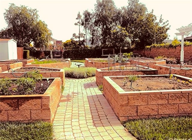 Community vegetable garden