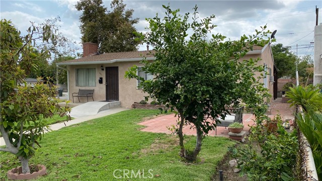 Avocado, Citrus, Mango trees