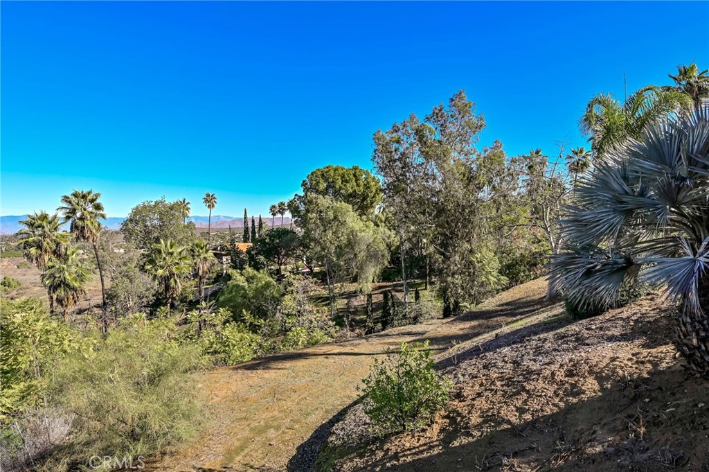 MLS #OC25274602 image #51