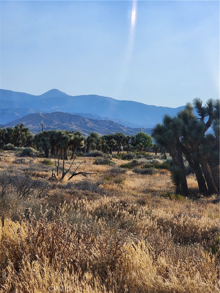 MLS #CV25255822 image #6