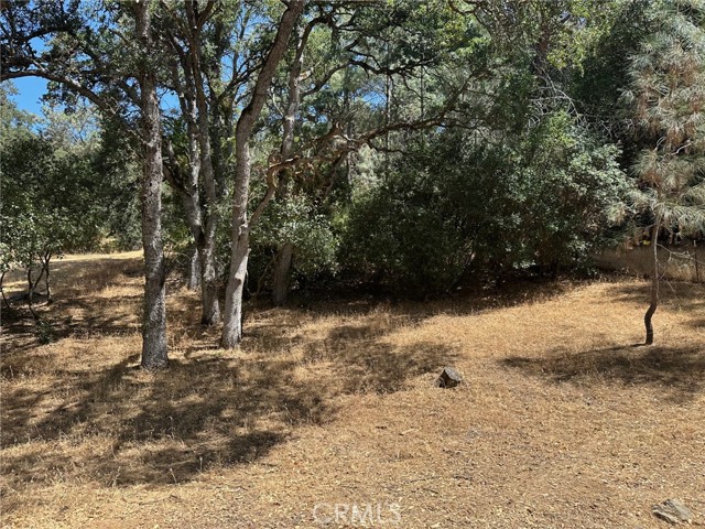 10810 Pingree Road, Clearlake Oaks CA: https://media.crmls.org/medias/dec6dfdd-deea-4fad-9c45-2a099656649f.jpg