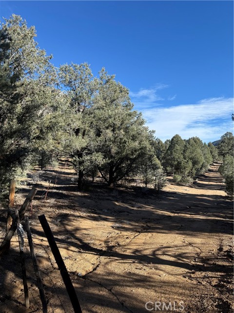 Detail Gallery Image 9 of 10 For 0 310-190-028 Sacatar Ranch Rd, –,  CA 93527 - – Beds | – Baths