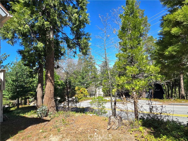 943 Grass Valley Road, Lake Arrowhead CA: https://media.crmls.org/medias/decc3999-657d-4cb7-82db-ffc152821217.jpg