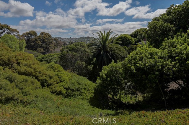 Detail Gallery Image 11 of 16 For 3517 Paseo Flamenco, San Clemente,  CA 92672 - 2 Beds | 2 Baths