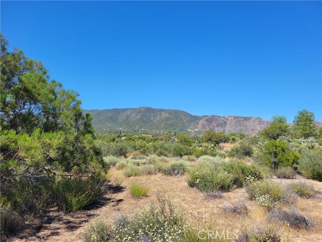 Detail Gallery Image 5 of 8 For 0 Terwilliger, Anza,  CA 92539 - – Beds | – Baths