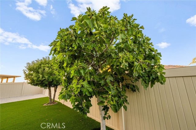 Detail Gallery Image 46 of 73 For 33926 Channel, Temecula,  CA 92592 - 4 Beds | 2/1 Baths