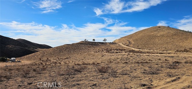 Detail Gallery Image 2 of 28 For 0 Carrie Ct, Agua Dulce,  CA 91390 - – Beds | – Baths