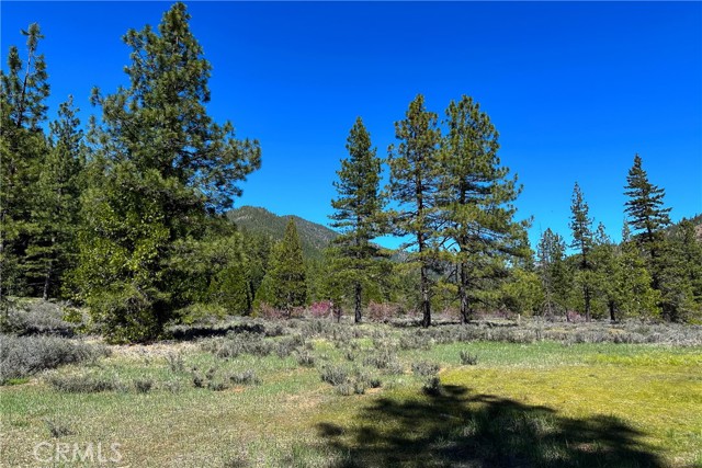 Detail Gallery Image 3 of 35 For 79402 State Highway 3, Trinity Center,  CA 96091 - – Beds | – Baths