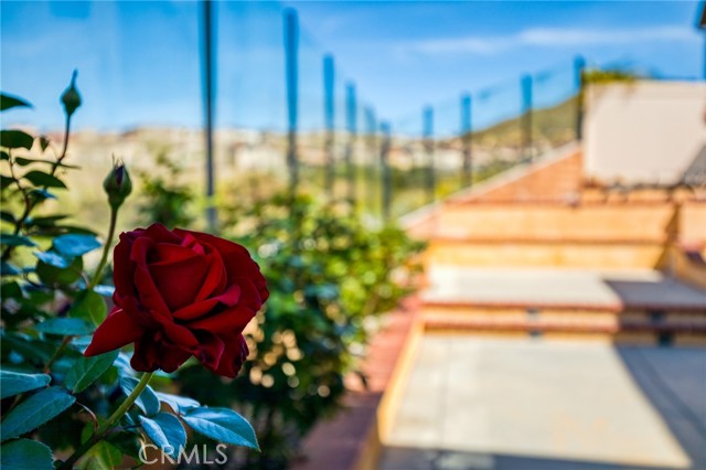 Detail Gallery Image 44 of 52 For 24655 Acadia, Corona,  CA 92883 - 4 Beds | 3 Baths