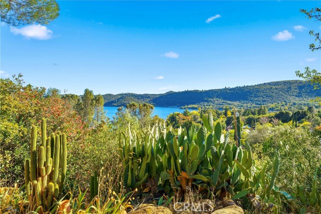 Detail Gallery Image 41 of 48 For 9120 Bass Rd, Kelseyville,  CA 95451 - 3 Beds | 1 Baths