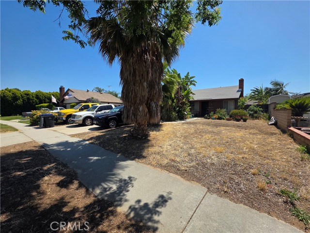 Front Image Thumbnail for CRIG26124661