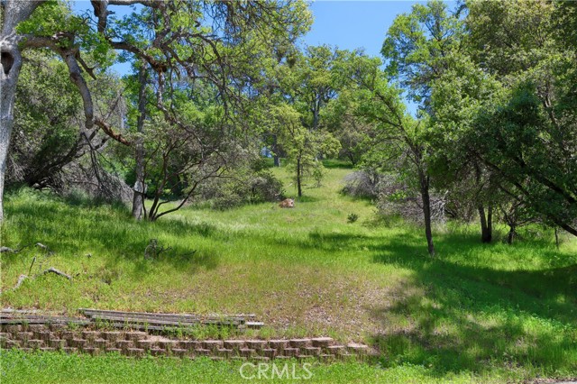 Detail Gallery Image 35 of 54 For 42275 Buckeye Rd, Oakhurst,  CA 93644 - 4 Beds | 2/1 Baths