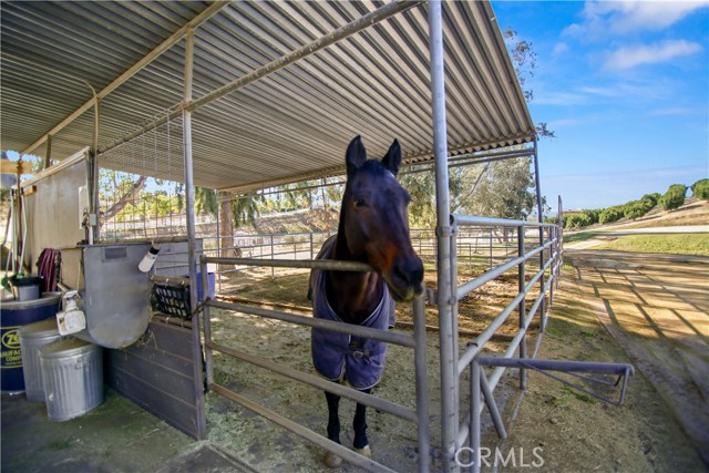 Detail Gallery Image 26 of 32 For 39645 Bella Vista Rd, Temecula,  CA 92592 - 3 Beds | 2 Baths