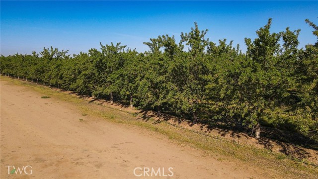 Detail Gallery Image 9 of 16 For 25012 Avenue 24, Chowchilla,  CA 93610 - – Beds | – Baths