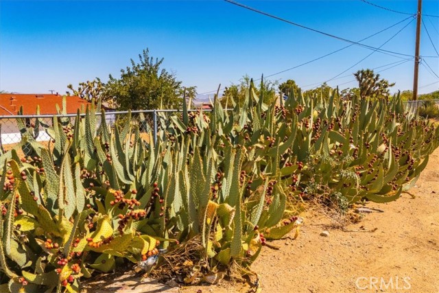 Detail Gallery Image 40 of 54 For 60258 La Mirada Trl, Joshua Tree,  CA 92252 - 2 Beds | 1 Baths