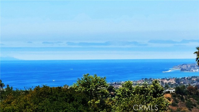 40 Paseo Alba, San Clemente CA: https://media.crmls.org/medias/def63e14-7a2c-4e4d-ae4b-072b7685ff9e.jpg