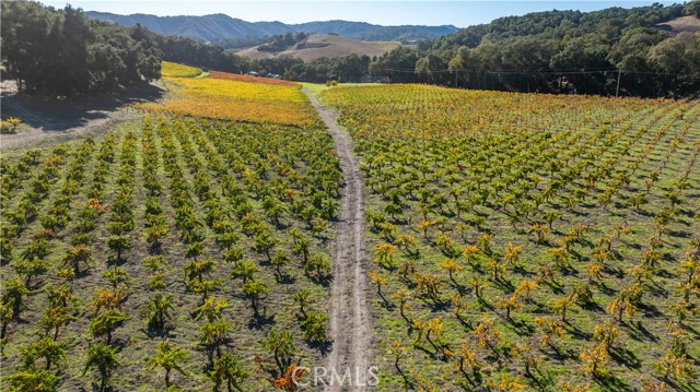 Detail Gallery Image 49 of 52 For 1545 Willow Creek, Paso Robles,  CA 93446 - 2 Beds | 4 Baths