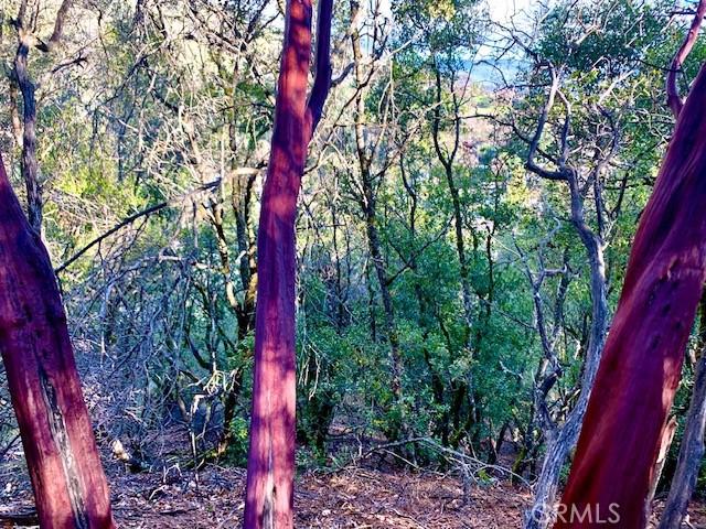 Detail Gallery Image 4 of 11 For 7333 Tehama, Nice,  CA 95464 - – Beds | – Baths