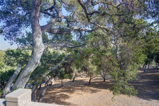 2935 Elderberry Lane, Avila Beach, CA, 93424 2935 Elderberry Lane, Avila Beach, CA, 93424