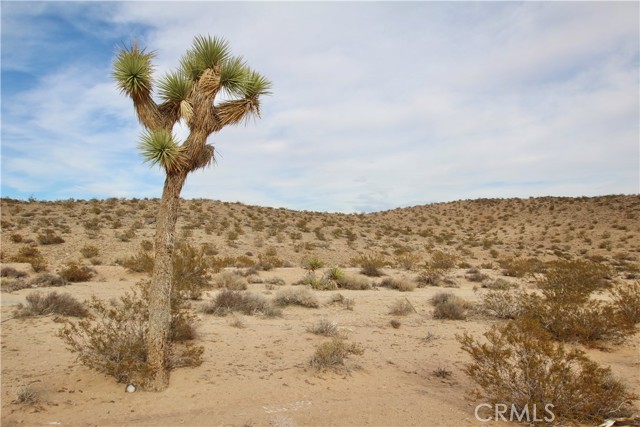 Detail Gallery Image 12 of 17 For 3025 Flamingo Ave, Joshua Tree,  CA 92252 - – Beds | – Baths