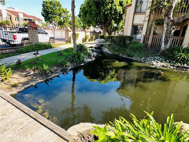 Beautiful pond in front of unit