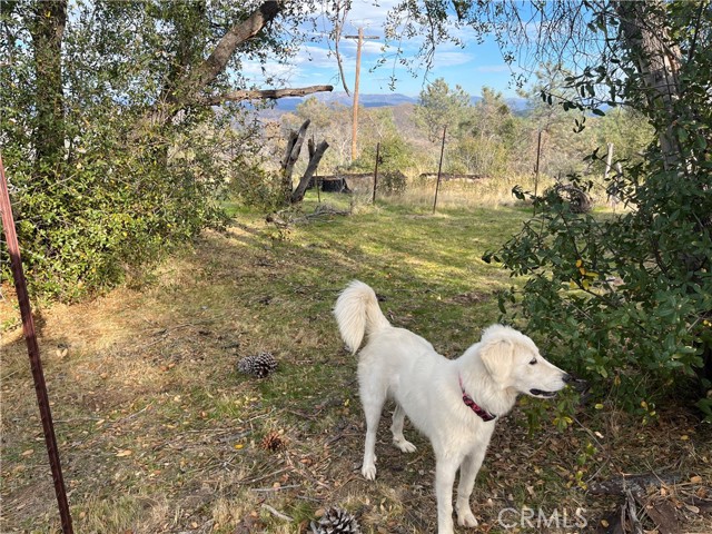 Detail Gallery Image 55 of 69 For 4934 Guadalupe Fire, Catheys Valley,  CA 95306 - – Beds | – Baths