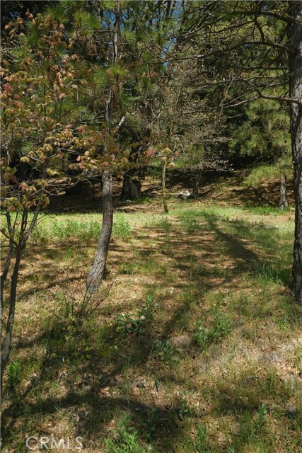 0 Thunderbird Drive, Lake Arrowhead CA: https://media.crmls.org/medias/df0db6f8-9a55-4cba-b7f5-40d8eab9ae35.jpg