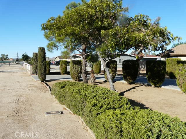 Detail Gallery Image 4 of 73 For Address Is Not Disclosed, Apple Valley,  CA 92308 - 3 Beds | 2 Baths