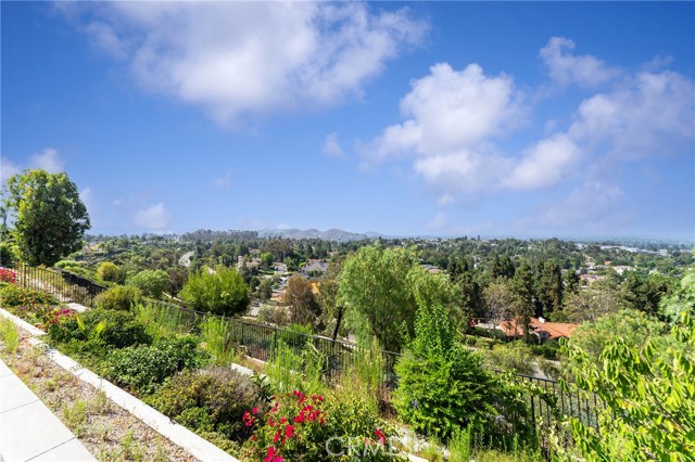 2528 N San Miguel Drive, Orange CA: https://media.crmls.org/medias/df14abd2-34bd-4cf8-9af8-6e58c69b28a1.jpg
