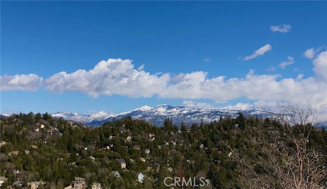 Detail Gallery Image 31 of 33 For 935 Madera Ln, Lake Arrowhead,  CA 92352 - 4 Beds | 3 Baths