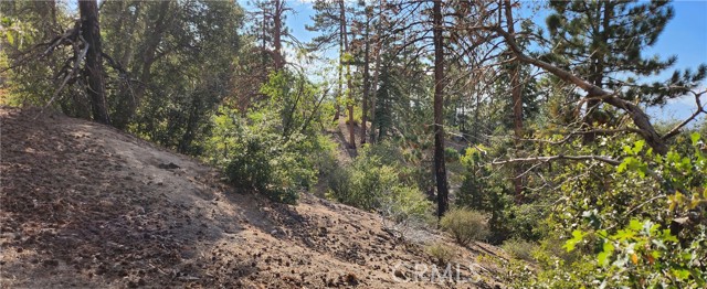 0 TRAILS END Road, Green Valley Lake, California 92341, ,Land,For Sale,0 TRAILS END Road,CRRW22222974