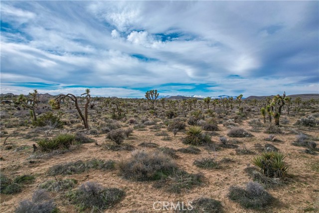 Detail Gallery Image 14 of 32 For 4824 Elata Ave, Yucca Valley,  CA 92284 - – Beds | – Baths
