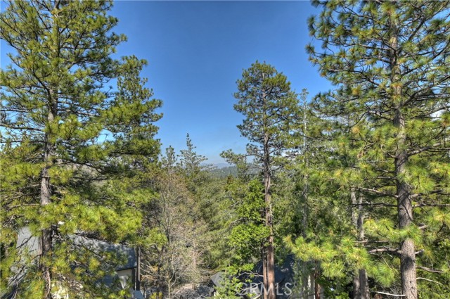 Detail Gallery Image 57 of 62 For 26300 Spyglass Dr, Lake Arrowhead,  CA 92352 - 3 Beds | 3/1 Baths