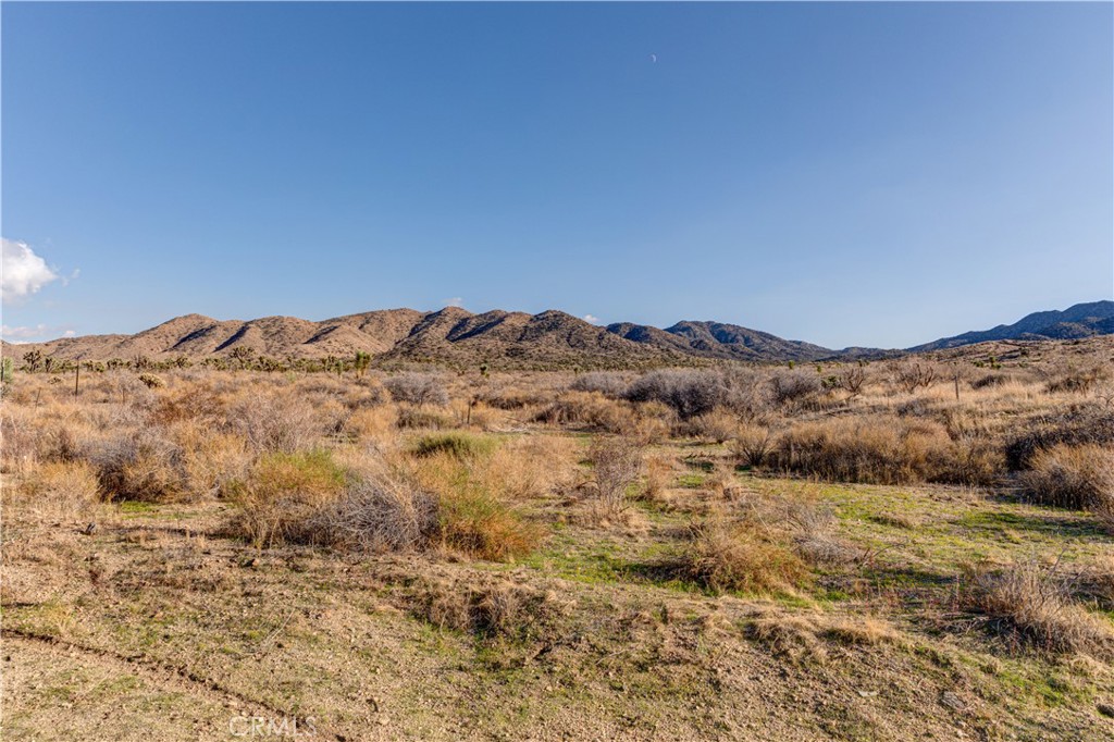 MLS #JT25229239 image #19