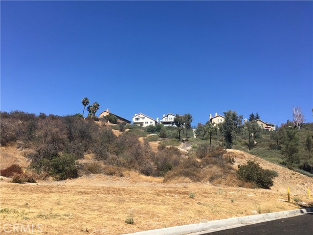 0 Fambrough St, Newhall, CA, 91321 0 Fambrough St, Newhall, CA, 91321