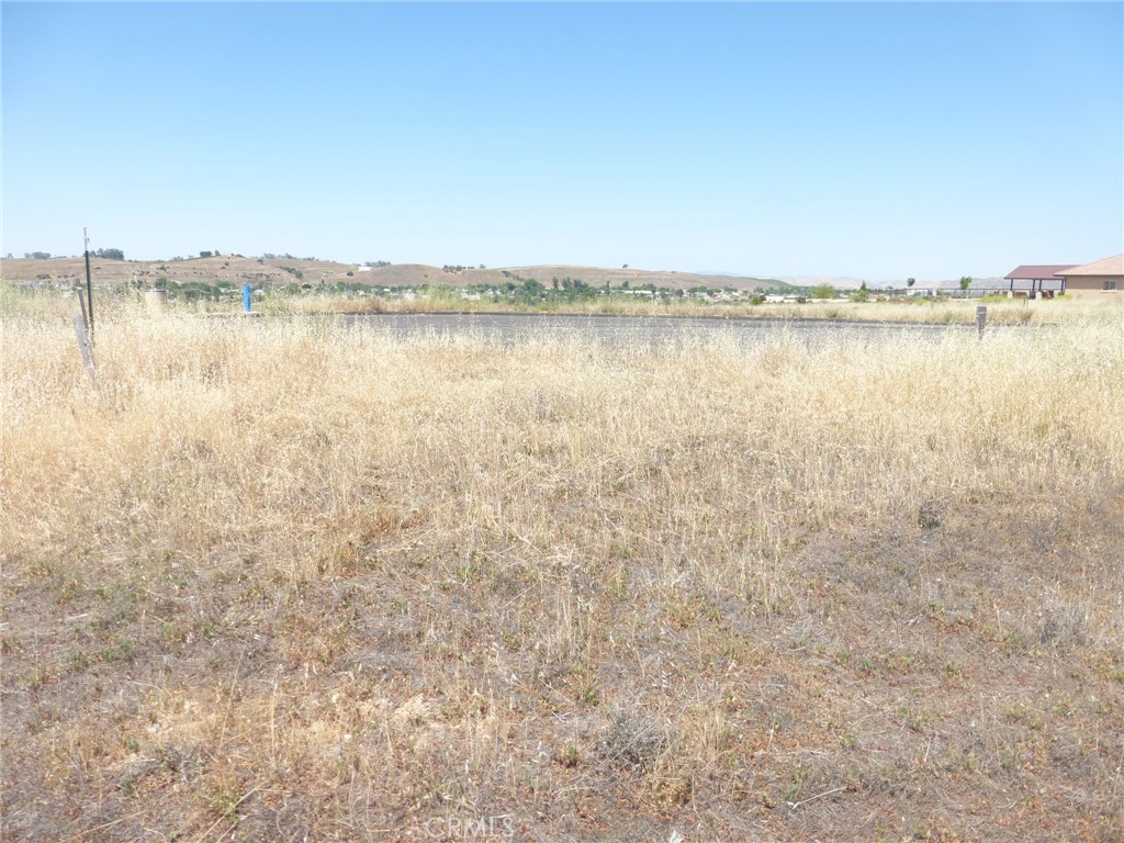 13040 River Bluffs (Lot 8) Lane