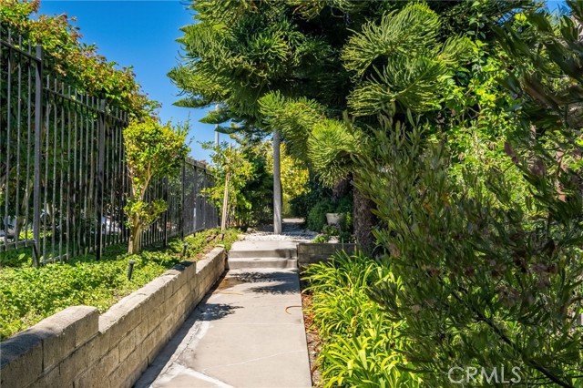 Tree lined walkway to front entry