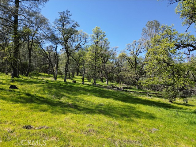 Detail Gallery Image 10 of 14 For 0 Hidden Mine Rd, Oroville,  CA 95965 - – Beds | – Baths