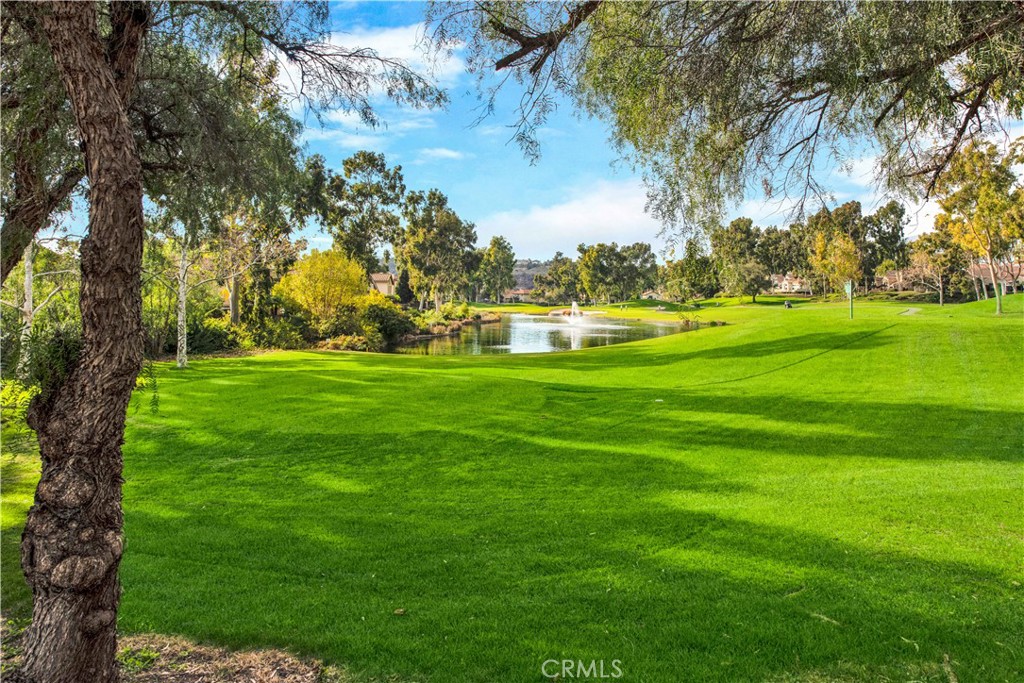 https://media.crmls.org/medias/df35e461-17b0-4917-af36-7b68f1001b53.jpg?preset=X-Large