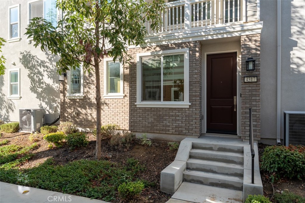 4317 Canyon Coral